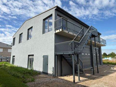 Kölln-Reisiek Halle, Kölln-Reisiek Hallenfläche