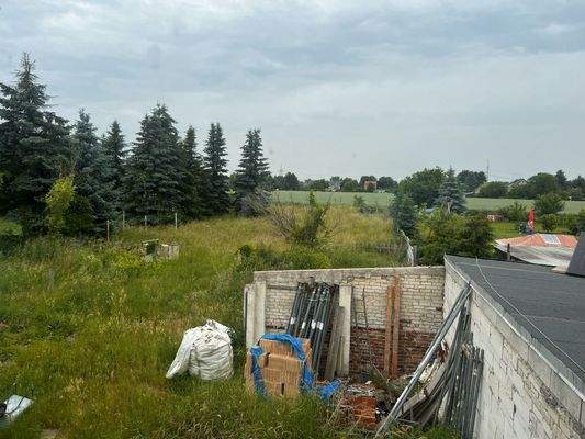 Blick_in_Gartenbereich