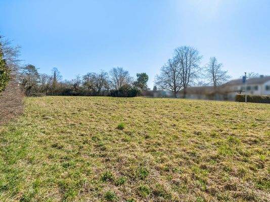 Eindrücke Grundstück II_2