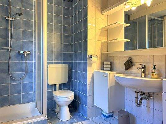 EG_Badezimmer (mögliche Einliegerwohnung)