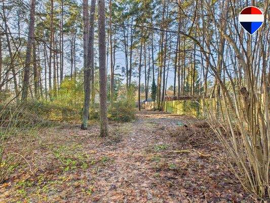 Flst 398 rechtes TGrdst I hinten