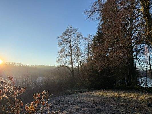 2025-12-10 08.37.41.jpg