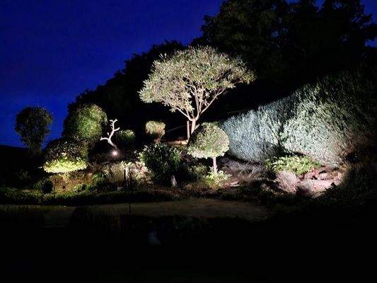 Ihr Garten bei Nacht