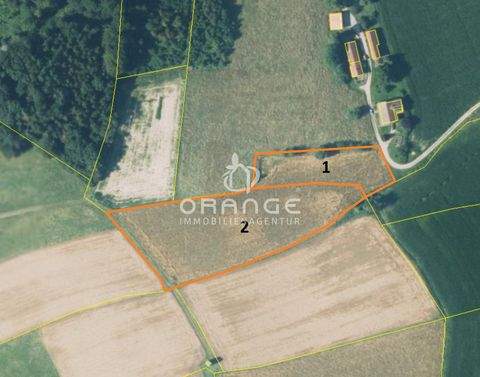 Bad Griesbach im Rottal / Weng Bauernhöfe, Landwirtschaft, Bad Griesbach im Rottal / Weng Forstwirtschaft