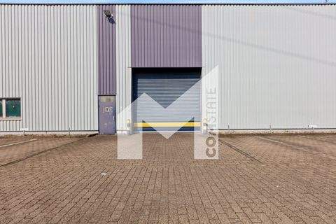 Ratingen Halle, Ratingen Hallenfläche