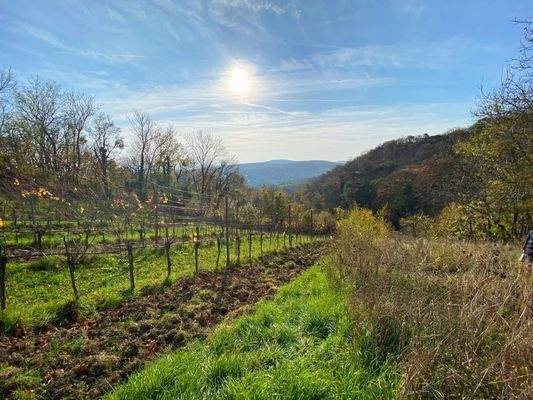 traumhafter Fernblick