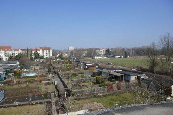 Gartenanlage hinter dem Haus