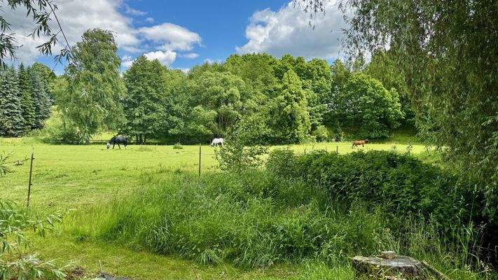 Blick vom Grundstück