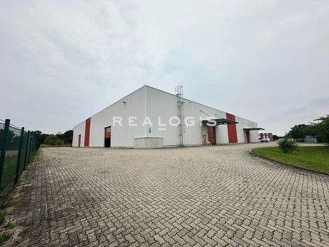 Leipzig Halle, Leipzig Hallenfläche