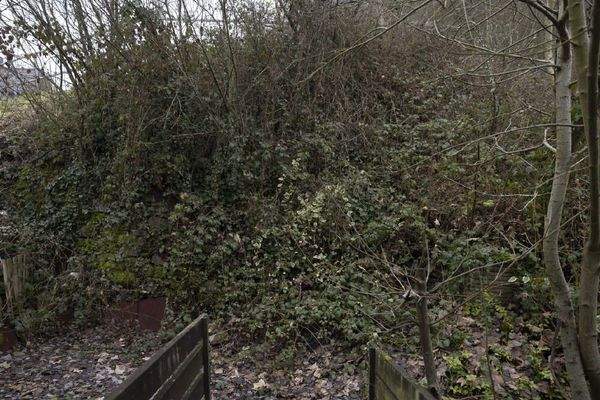 Grundstück hinter dem Haus