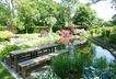 großer Schwimmteich