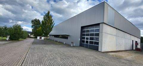 Merzig Halle, Merzig Hallenfläche