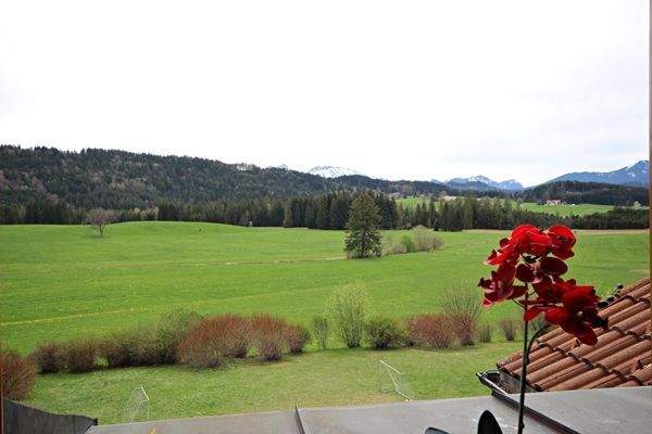 Natur pur: Kühe, Rehe, Berge & Ruhe
