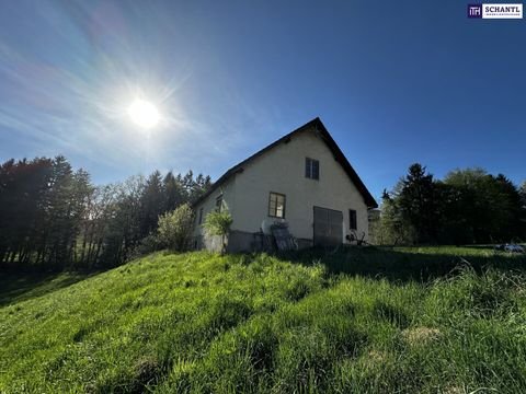 Fötschach Bauernhöfe, Landwirtschaft, Fötschach Forstwirtschaft