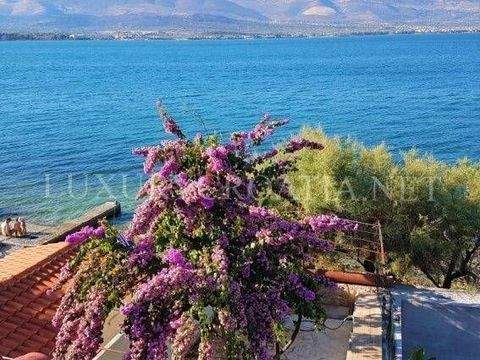 Trogir Häuser, Trogir Haus kaufen