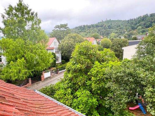 Blick zum Auerbacher Schloss