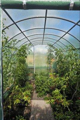 Gewächshaus (2)