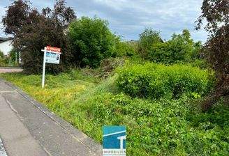 Baugrund, Hepberg, Immobilien Makler Theisinger