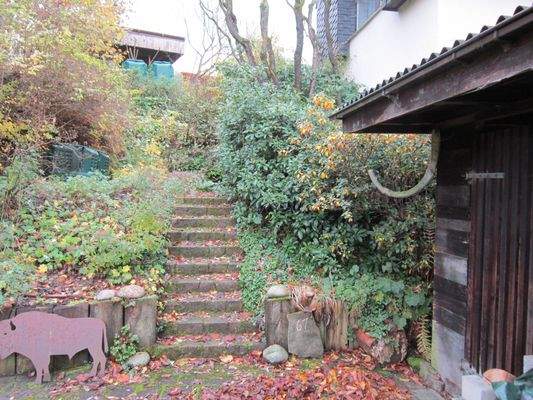 IMG_4237 - Kopie.JPG