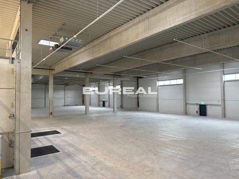 Langenfeld (Rheinland) Halle, Langenfeld (Rheinland) Hallenfläche