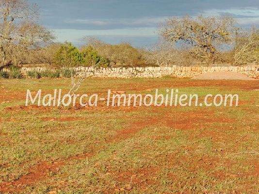 GRM 5095-SO1 GRUNDSTÜCK MIT MEERWEITBLICK