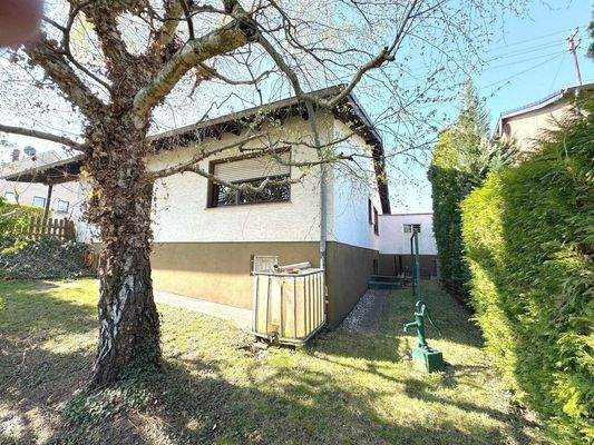 Die Ecke zum Blühen bringen...