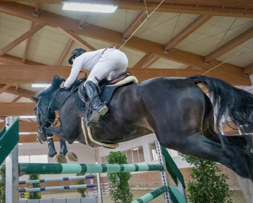 Bildschirmfoto 2024-09-17 u...