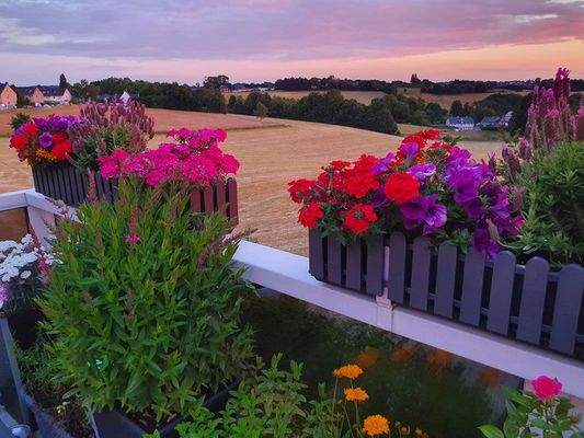 Ausblick Dachterrasse