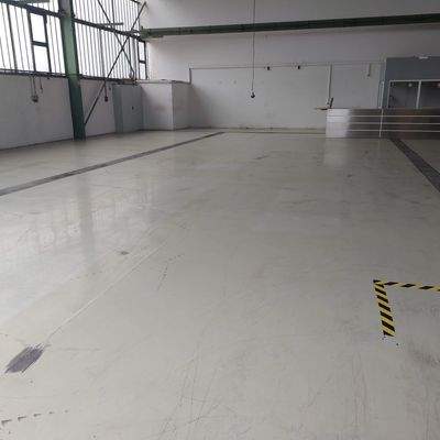 20241029_113549 - Kopie.jpg