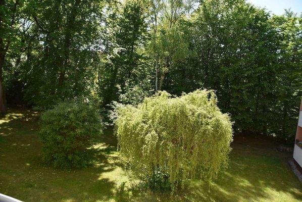 Loggia - Blick aufs Grundstück