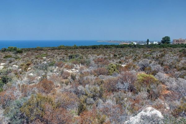 Kreta, Kalathas: Grundstück mit herrlichem Blick auf das Meer und die Weißen Berge zu verkaufen