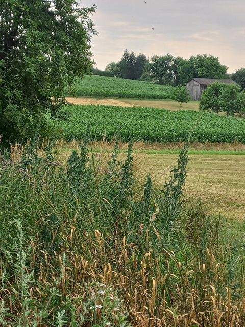 Harmisch Häuser, Harmisch Haus kaufen