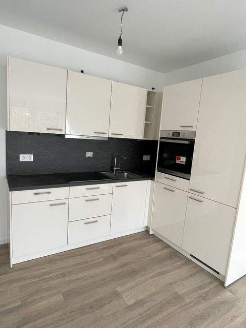 Neumünster Wohnungen, Neumünster Wohnung mieten