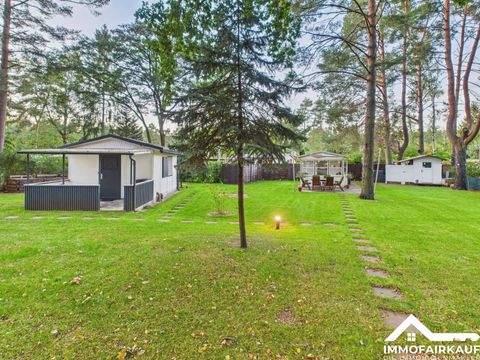 Plötzky Häuser, Plötzky Haus kaufen