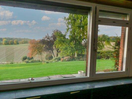 Blick aus dem Wohnzimmerfenster