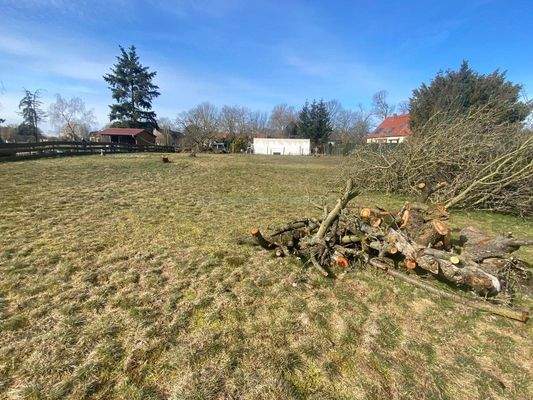 Hier könnte Ihr Eigenheim stehen!