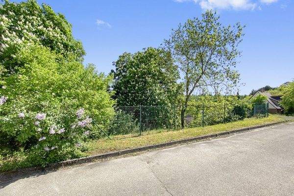 Zufahrt Hintereingang Garten