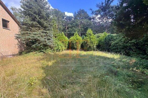 Grundstücksansicht aus Westen