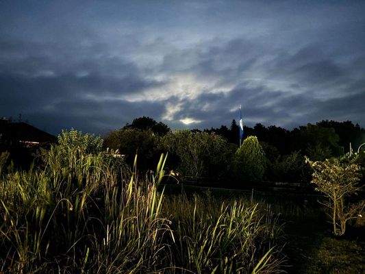 Gartenteich bei Nacht