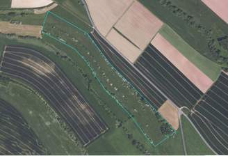 Luftbild markiert Weidefläche groß.png