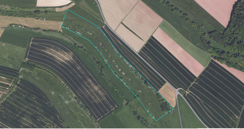 Gransdorf Bauernhöfe, Landwirtschaft, Gransdorf Forstwirtschaft