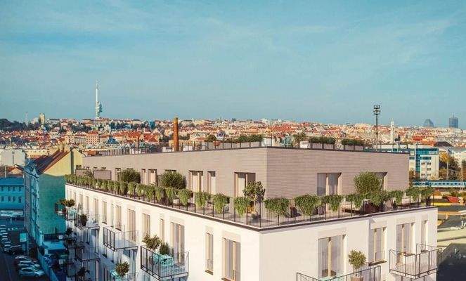 1728035577_Z3ADr6VQBJ