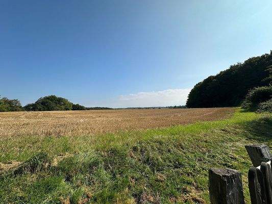 Aussicht vom Grundstück