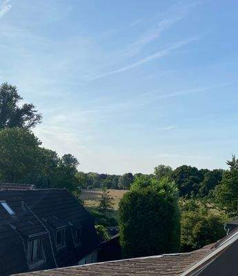 Blick ins Naturschutzgebiet