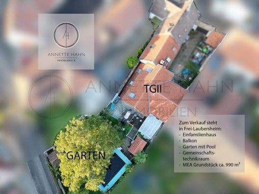 Drohne Frei-Laubersheim-MEA Kopie