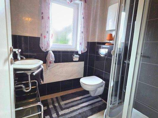 Gäste-WC mit Dusche EG
