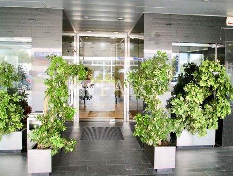 Palma Büros, Büroräume, Büroflächen 