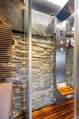 OG. Tageslichtbad mit Sauna-Dusche