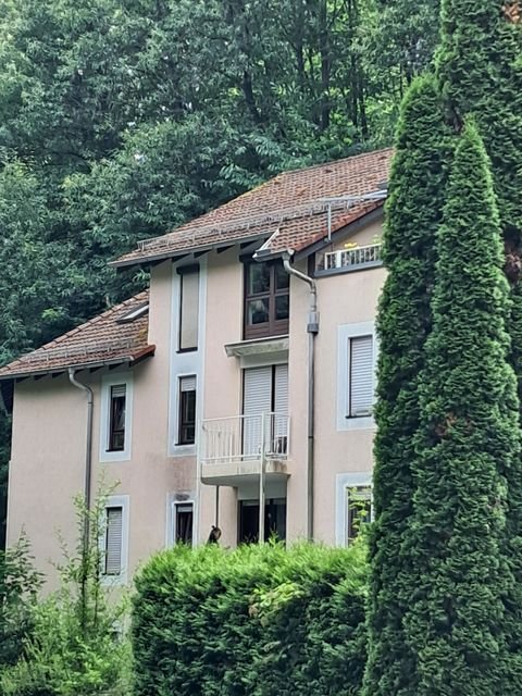 Bad Bergzabern Wohnungen, Bad Bergzabern Wohnung kaufen