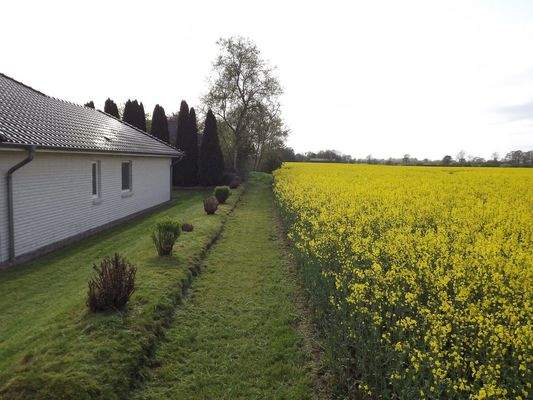 Nordansicht Feldrandlage